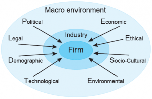 macro environment forces